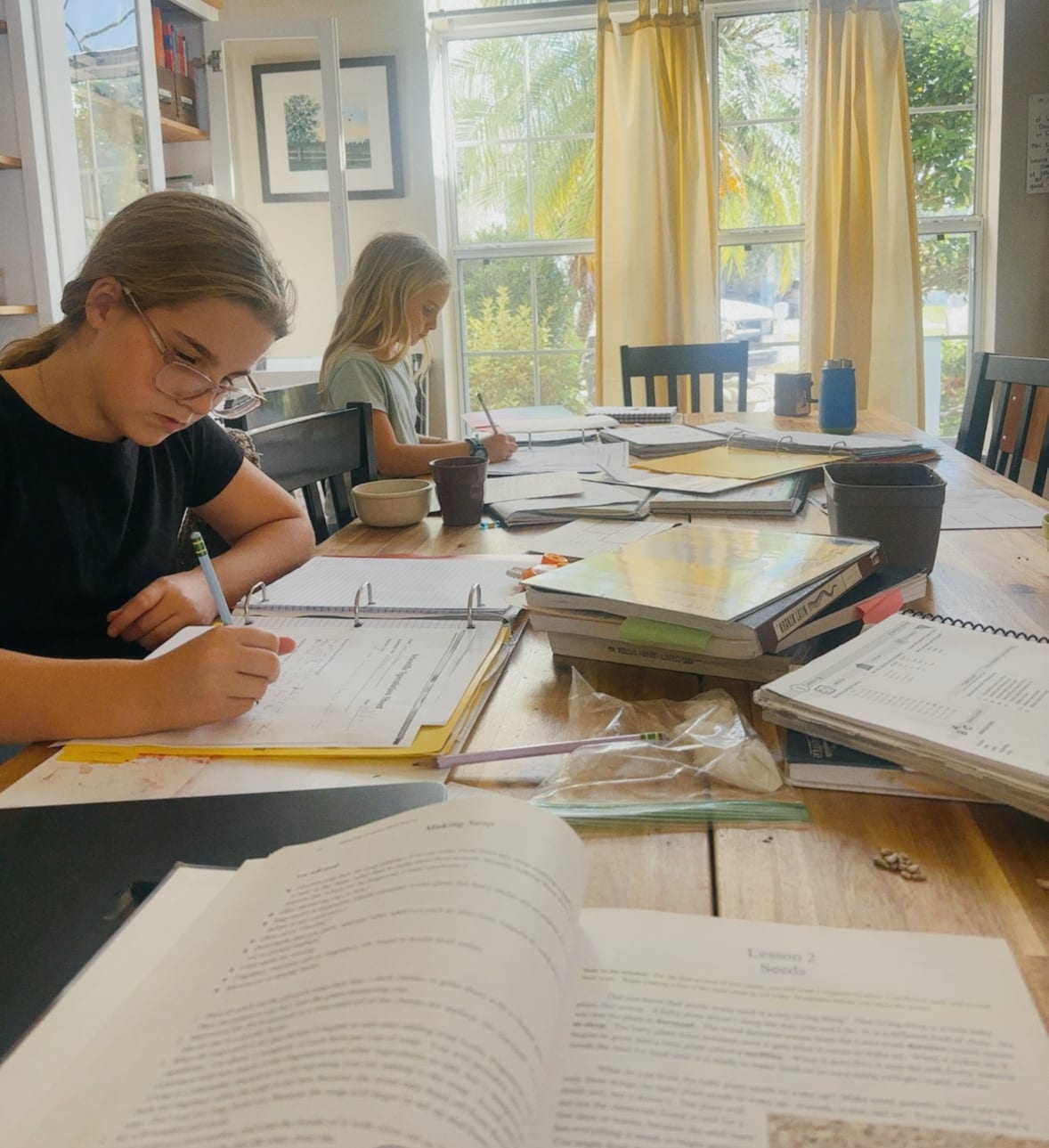 Two of the children working through their lessons at the dining table