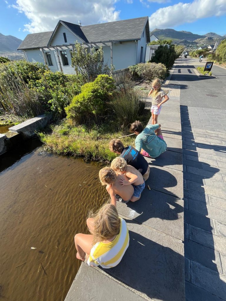 whatsapp image 2026 02 23 at 9.29.27 am