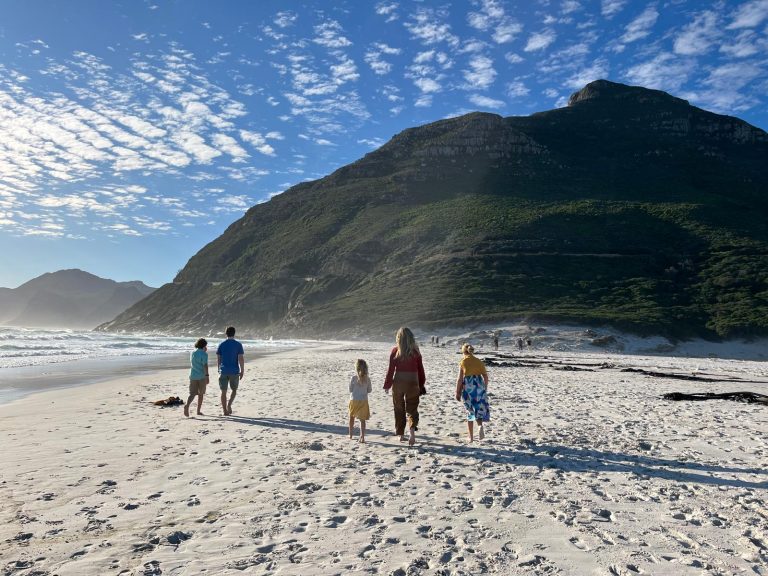 section 2 image